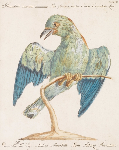 TIMED AUCTION | 16TH TO 19TH CENTURY DRAWINGS AND PRINTS